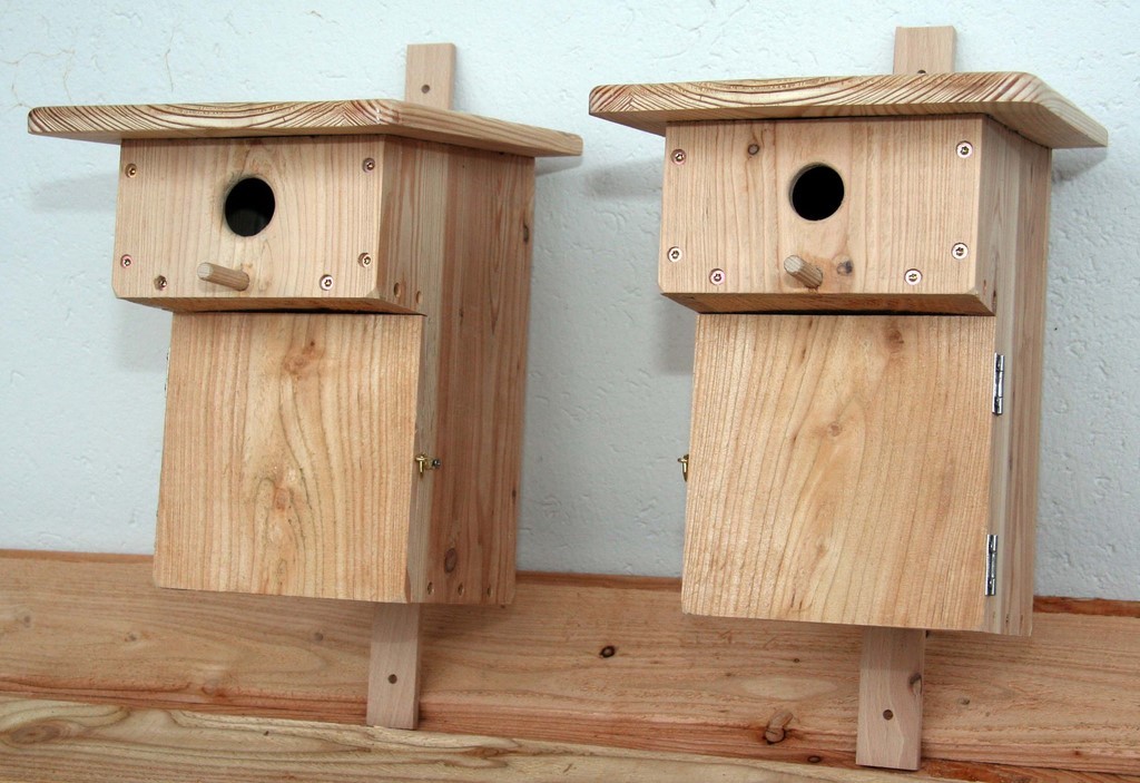 Nichoir à balcon pour Mésange bleue et Mésange charbonnière