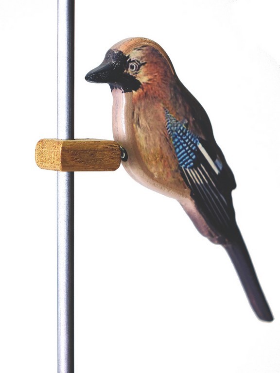 Geai des chênes en bois