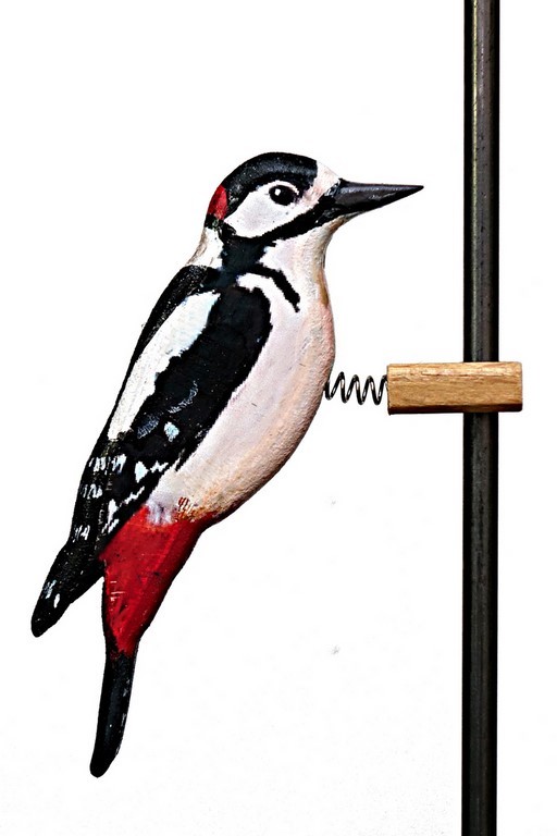Pic épeiche en bois
