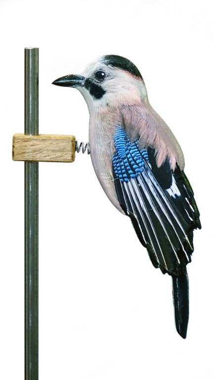 Geai des chênes en bois